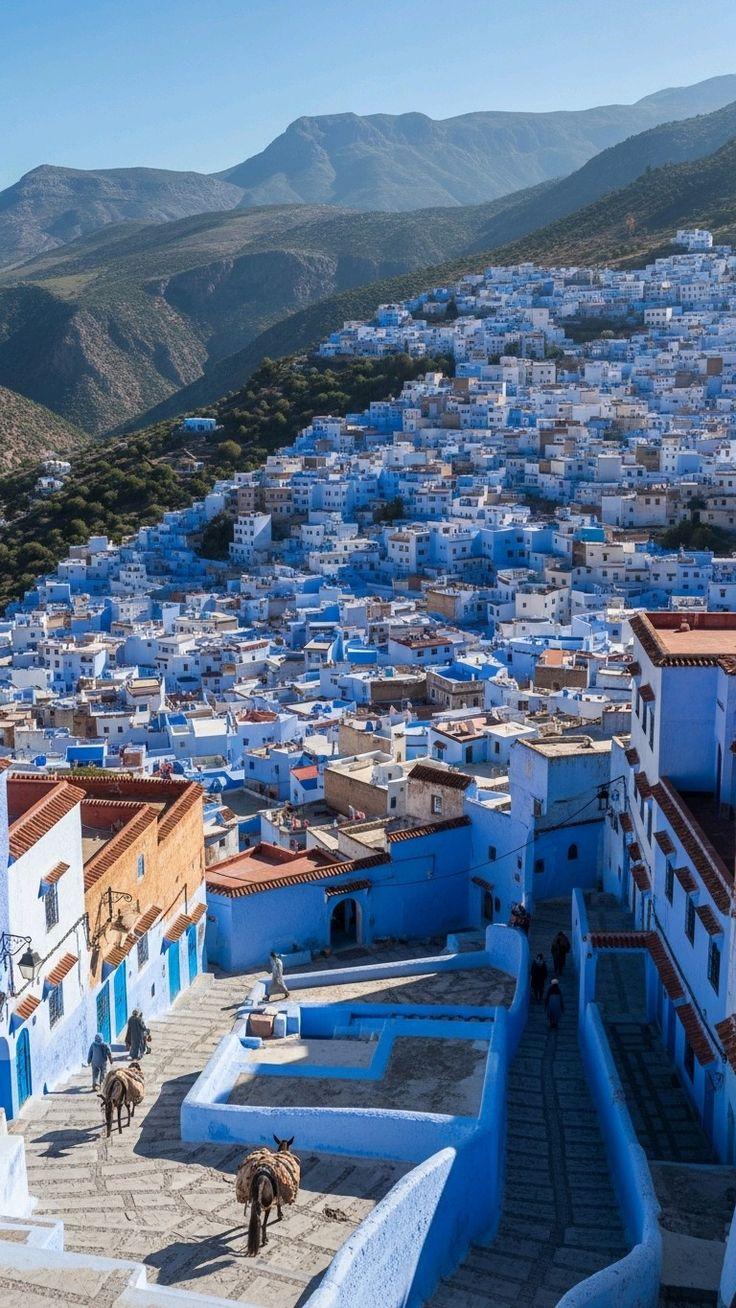 A blue-washed stepped lane with flowerpots in Chefchaouen