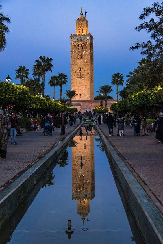 The Koutoubia minaret lit at blue hour above the palms of Marrakech