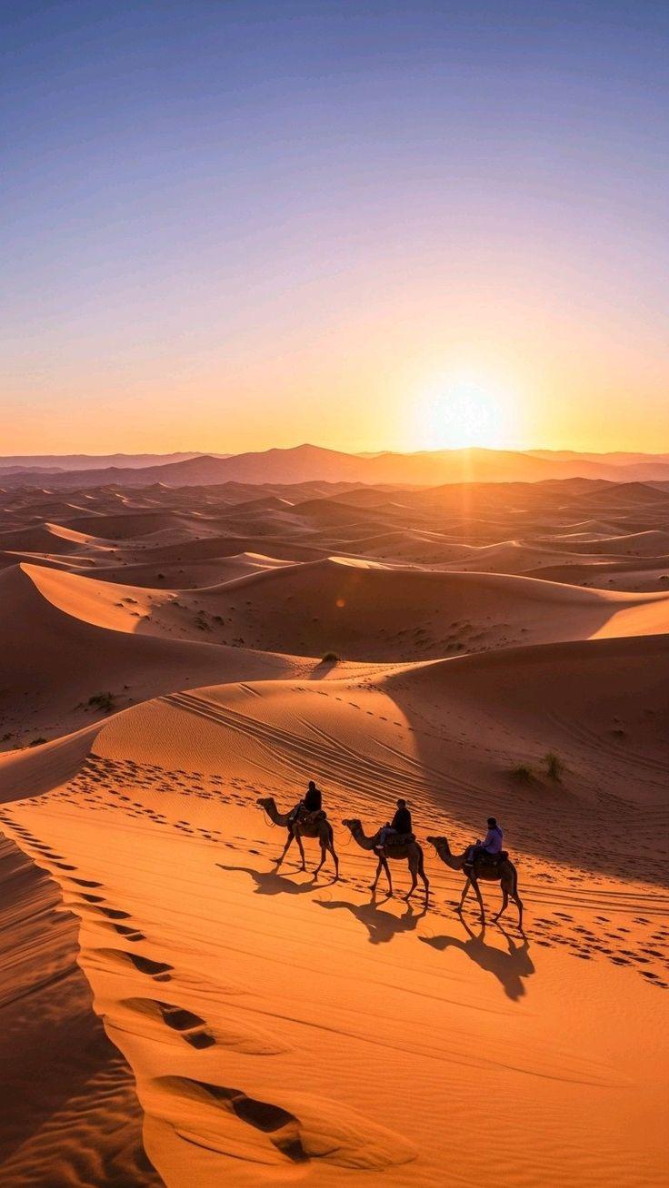 The wind-carved ridges of the Erg Chebbi dunes at Merzouga