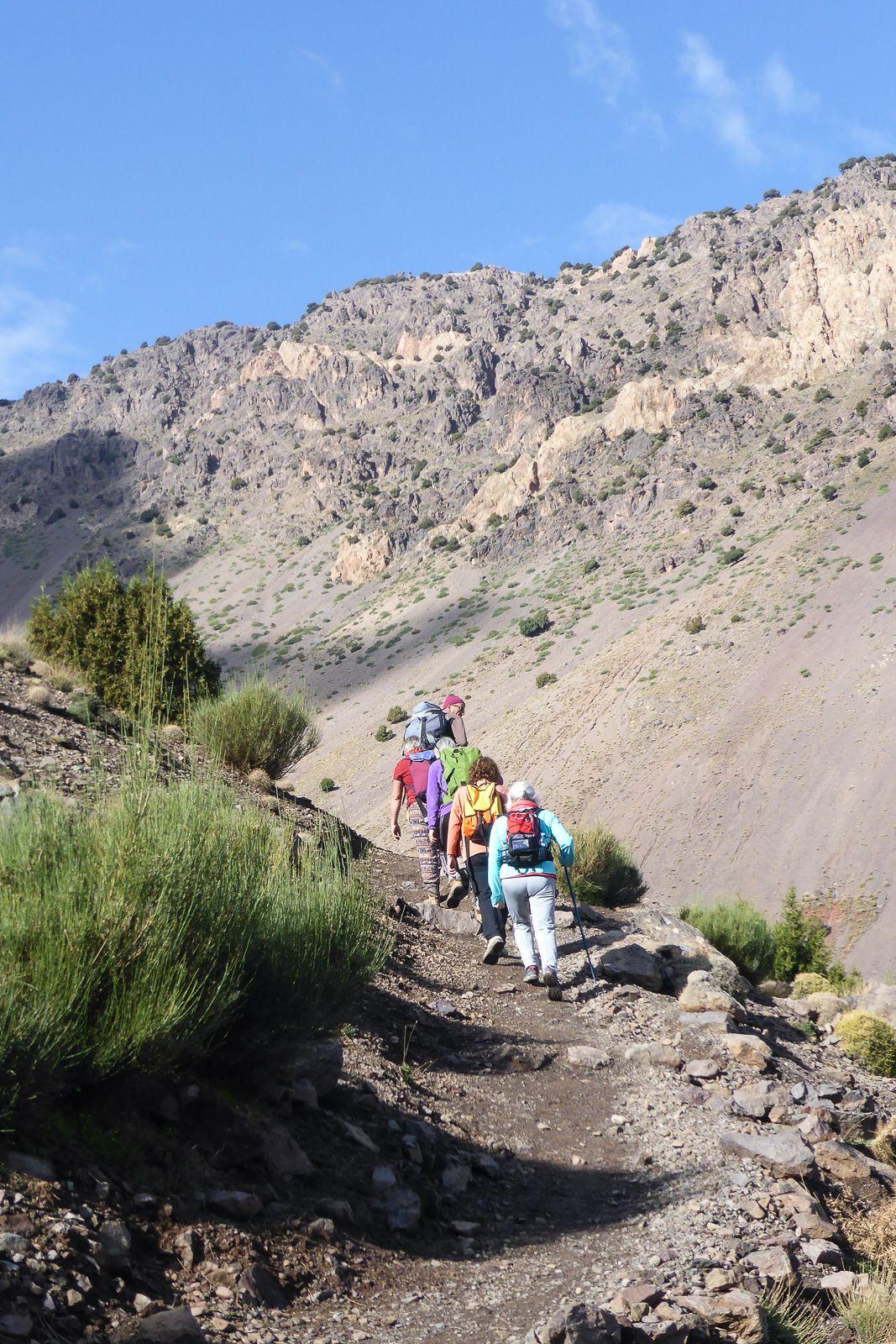 A walking trail between terraced fields in the High Atlas