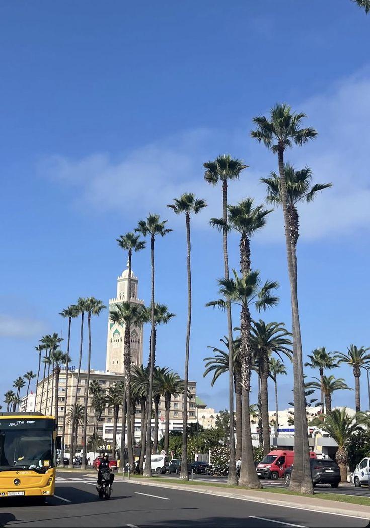 Palm-lined boulevard in Casablanca