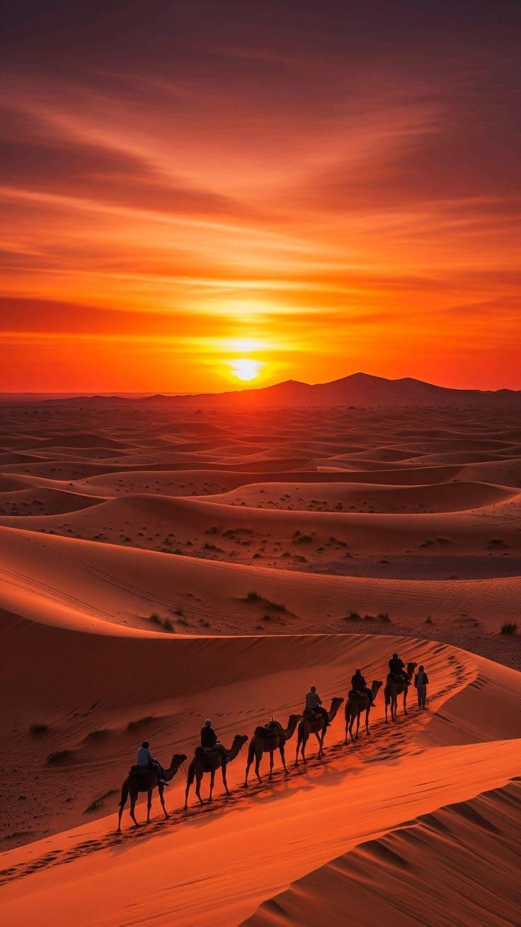 Sunset over the dunes of the Moroccan Sahara
