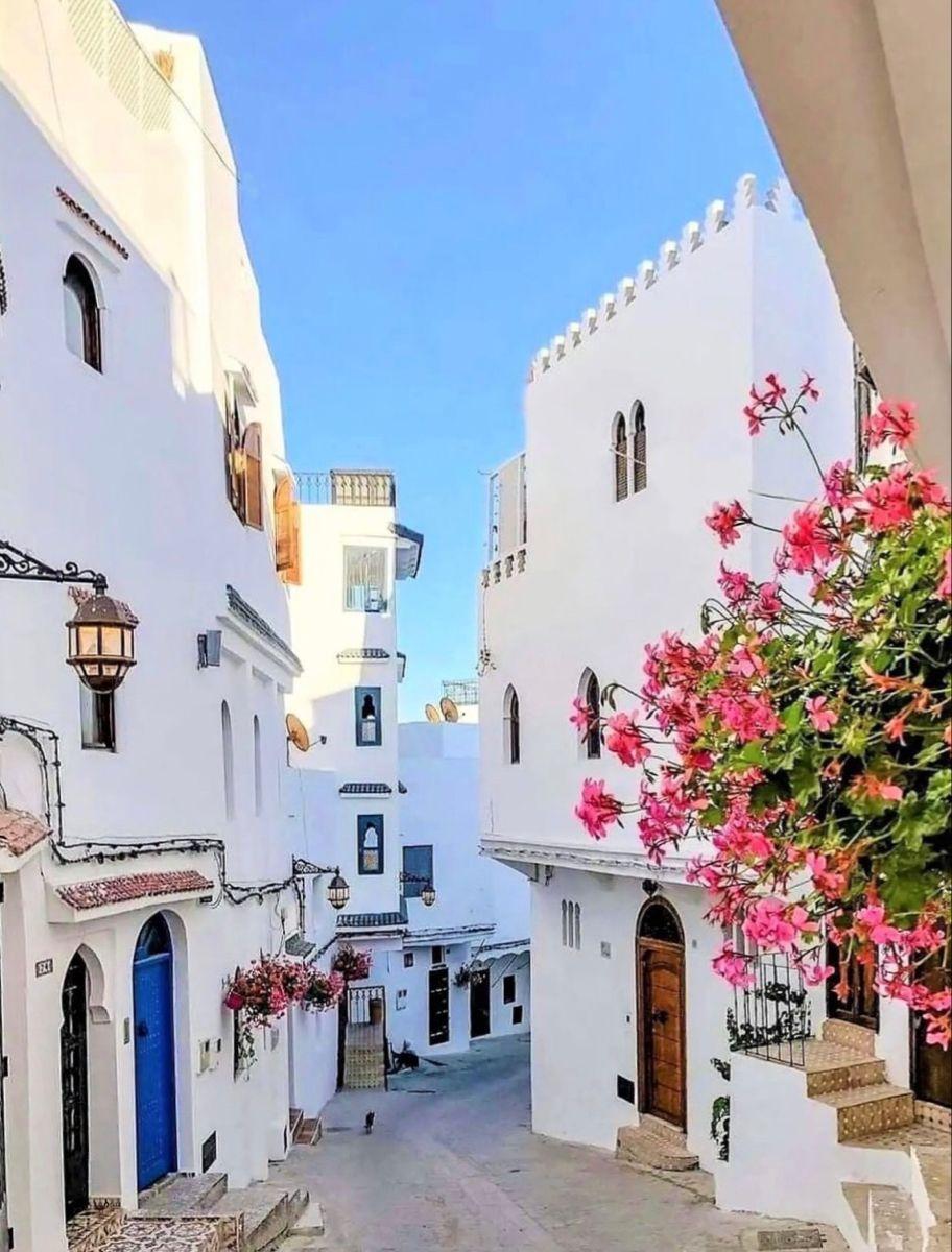 Whitewashed lane in Tangier