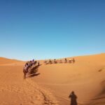 Gallery Thumbnail 1