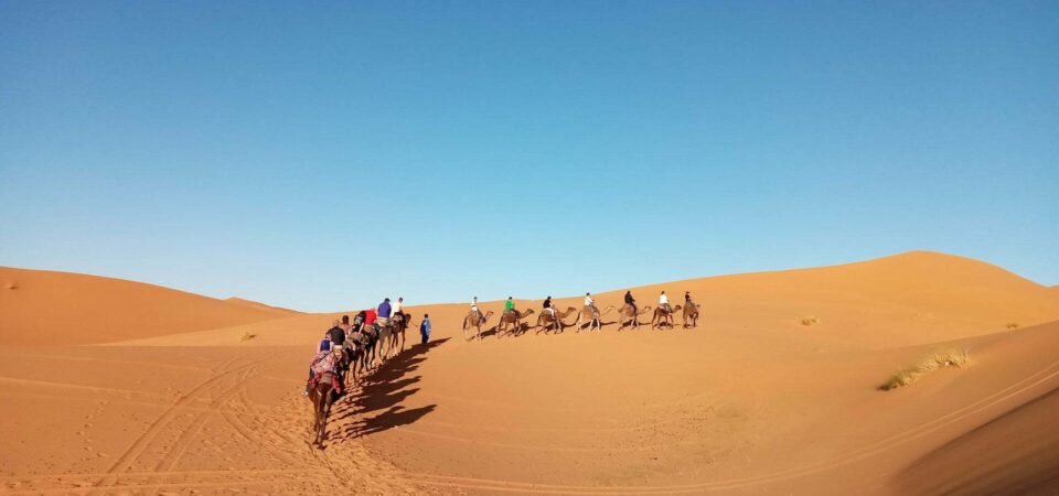 merzouga desert