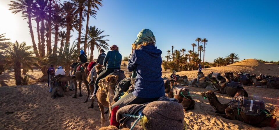 merzouga desert camel rid on sunrise