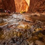 Gallery Thumbnail 5
