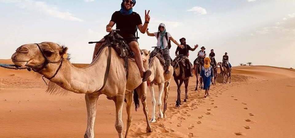 desert tour