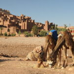 Gallery Thumbnail 1