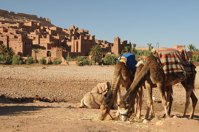 4 Days from marrakech to fes