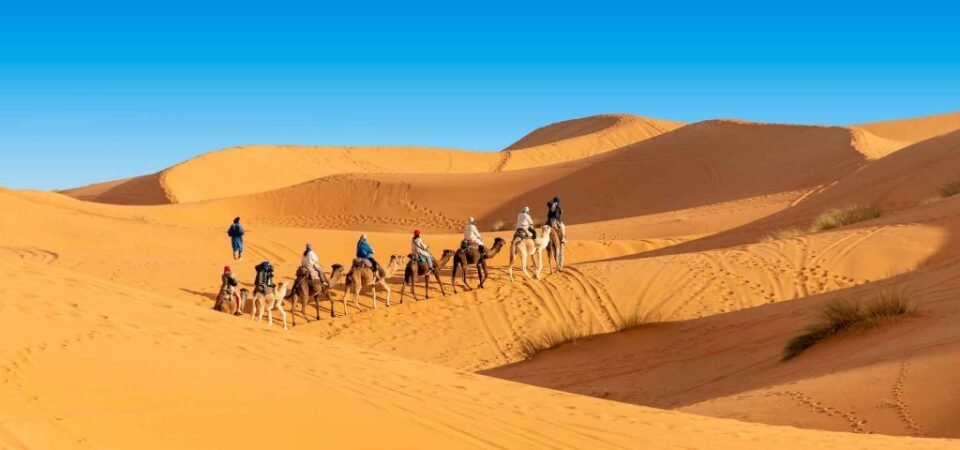 desert merouga