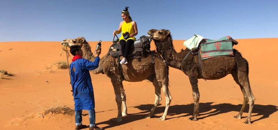 merzouga desert